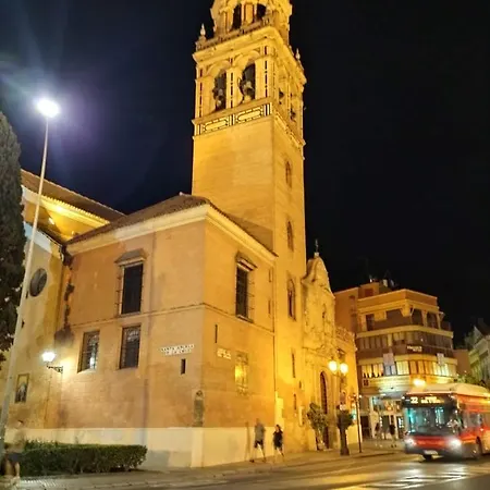 公寓 Atico En Setas Con Vistas A La Giralda *